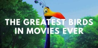 En iyi Kuş Filmleri ya da Kuş Temalı Filmler