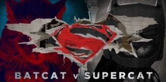 Batcat v Supercat: Pets of Justice