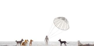 Wes Anderson'ın Yeni Stop-Motion'ı Isle of Dogs 2018'de Geliyor