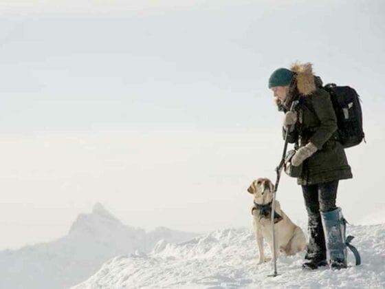 Idris Elba ve Kate Winslet'lı The Mountain Between Us'a İlk Bakış